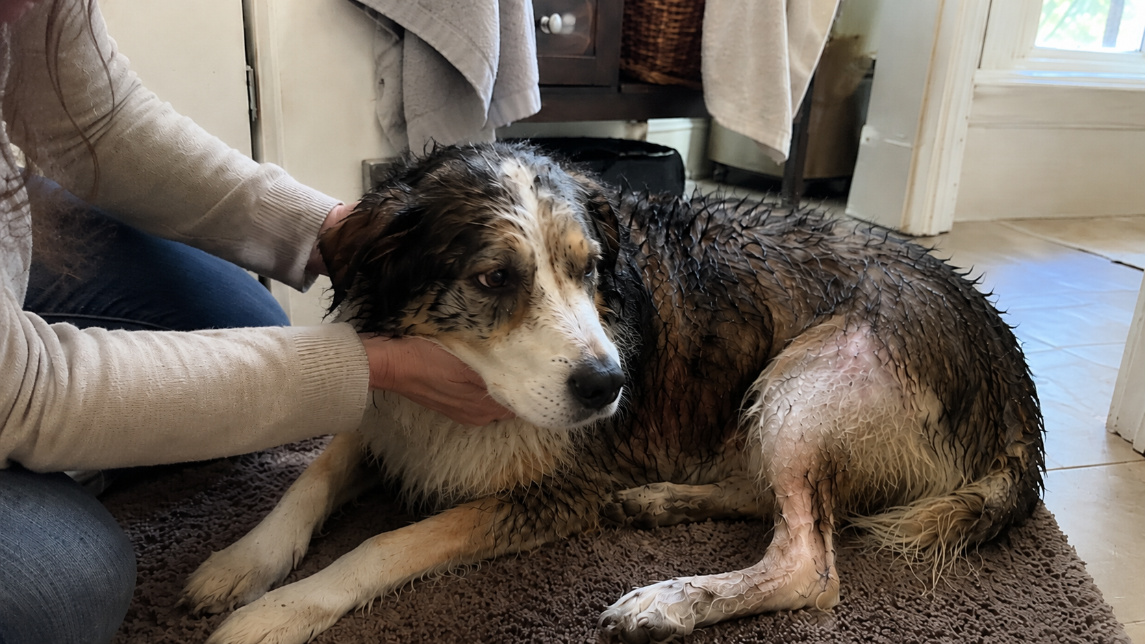 Our inspiration — gentle care for every family member